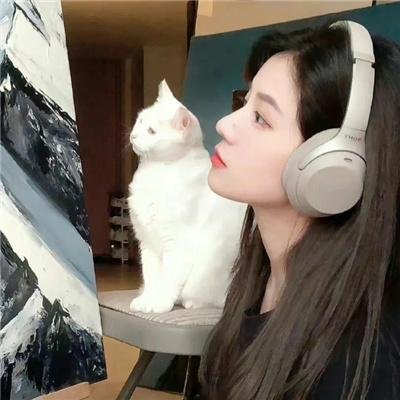 高山流水觅知音